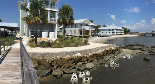 Oyster reef habitat in front of a seawall with the Nature Coast Biological Station behind.