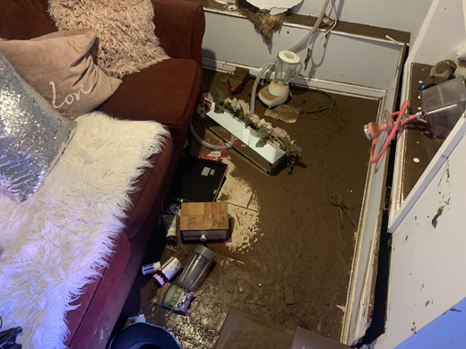 A thick layer of brown sludgy floodwater remnants covers the floor of a basement office with building contents strewn about next to a ruined couch, including a blender, medicine, and planter of fake flowers.