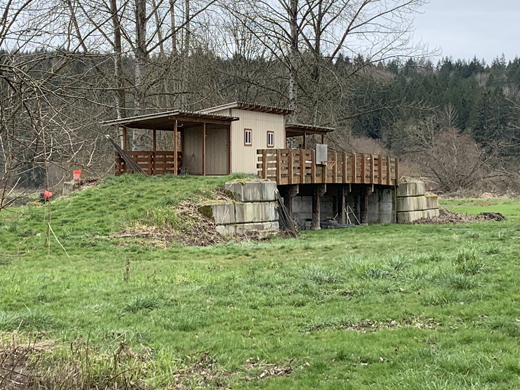 A small storage building and lean to elevated in a field.