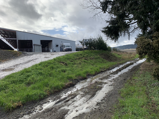 A huge milking parlor barn elevated on fill with a farm road running alongside.