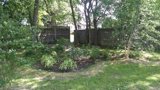 A backyard rain garden to fill in a sunken area.