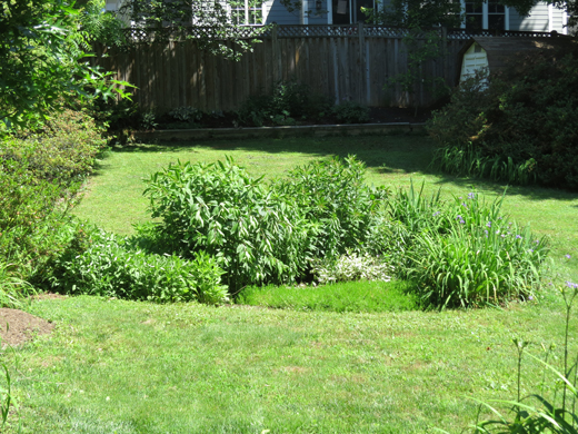 A backyard rain garden to fill in a sunken area.