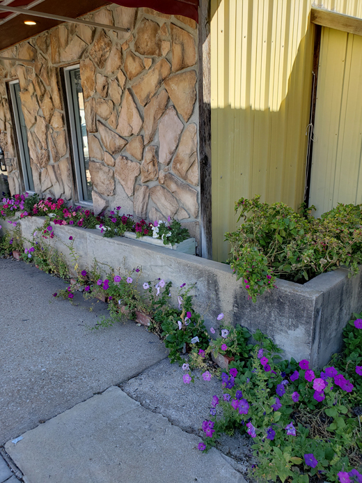 To protect against shallow flooding, this floodwall surrounds a yellow metal building with a faux stone facade and white and purple flowers.