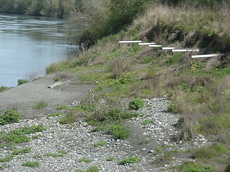 The lines run to the leach field are exposed and sticking out of the bank of the river. River is on the left, bank is on the right.