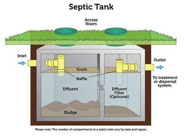 The graphic illustrates a buried septic tank. Above ground are the access risers; below ground is the septic tank. The septic tank contains and inlet and and outlet from which the water enters and exits the system. There are two compartments, pictured here. The one on the left shows scum, baffle, effluent, and sludge; the one on the right has an effluent filter, which is optional.