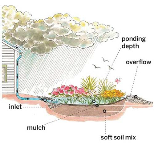 This schematic shows the basic elements of a rain garden without an underdrain. Note the use of a soil media to enhance vegetative vigor.