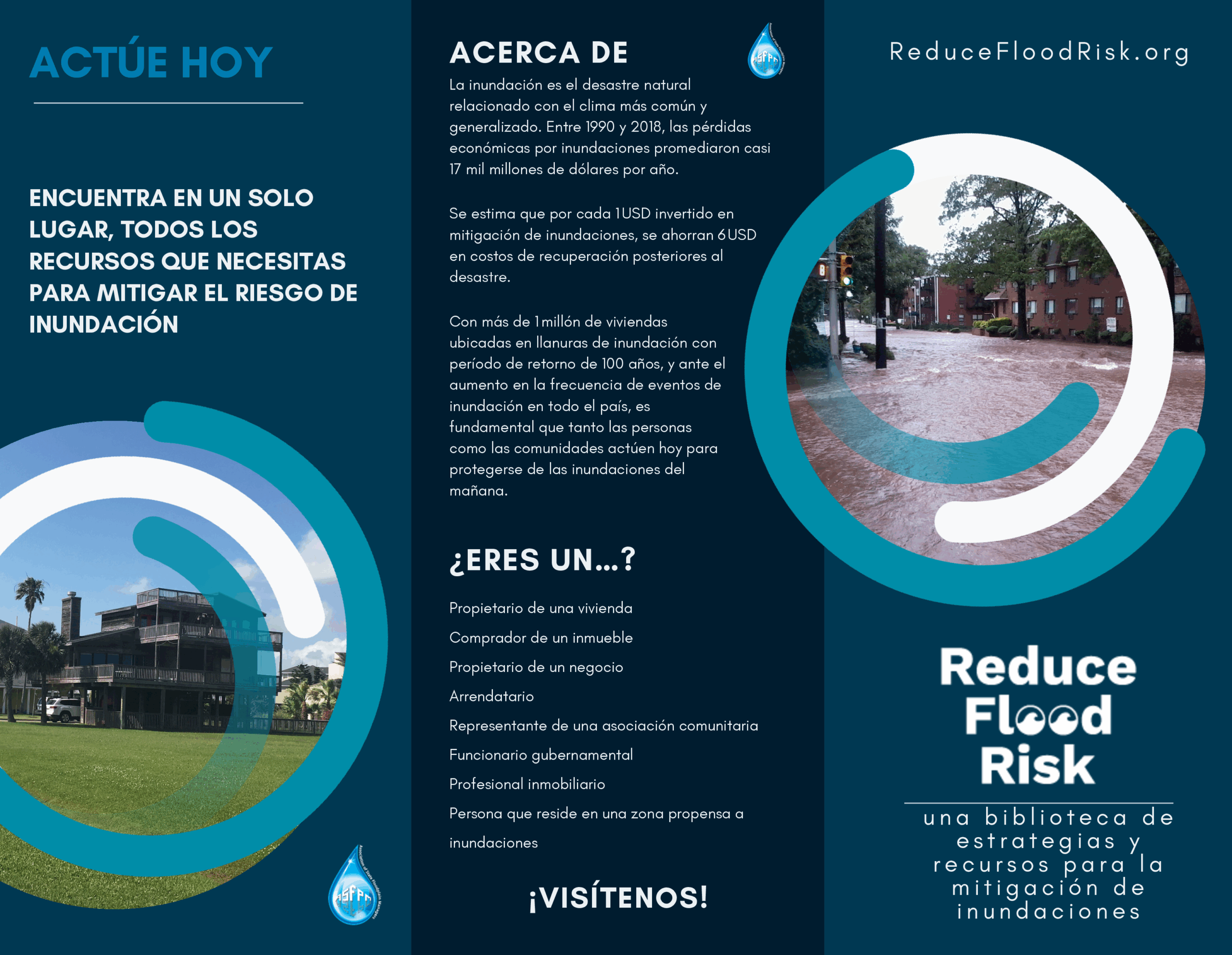 Trifold Brochure Layout